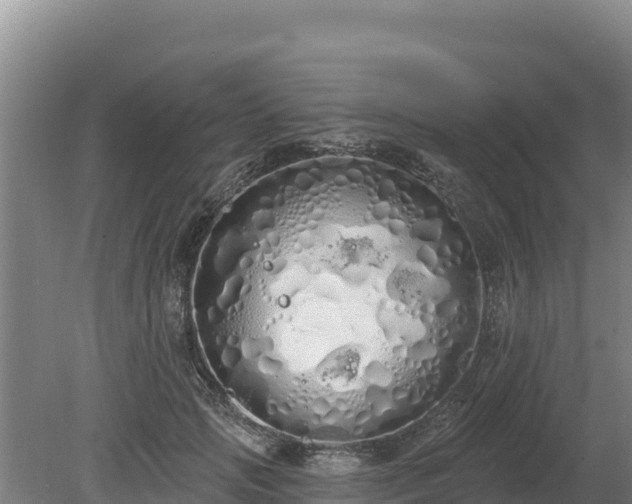 X0000080130749200612151738