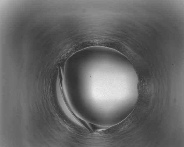 X0000080130750200612151738