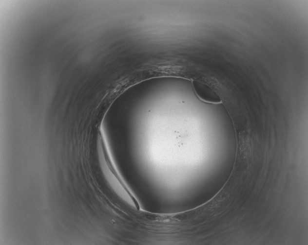 X0000080130752200612151738