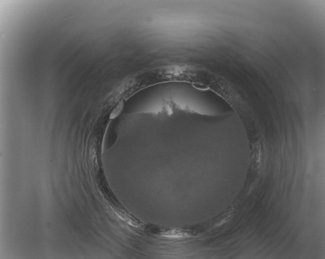 X0000080130754200612151738