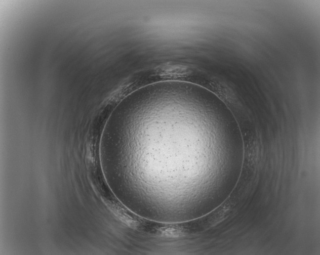 X0000080130755200612151738