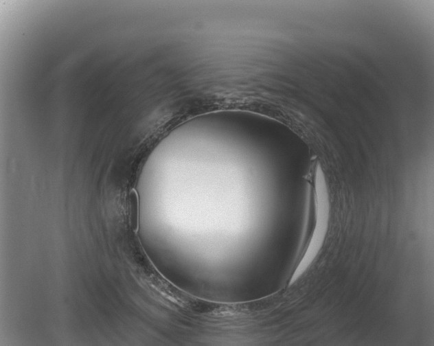 X0000080130756200612151738