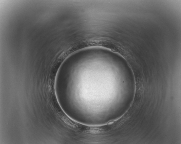 X0000080130758200612151738