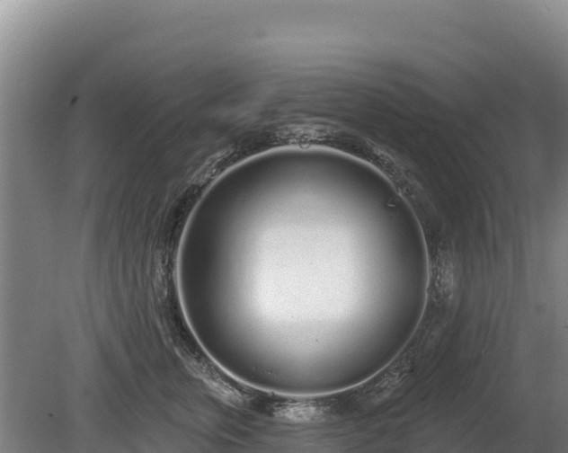 X0000080130759200612151738