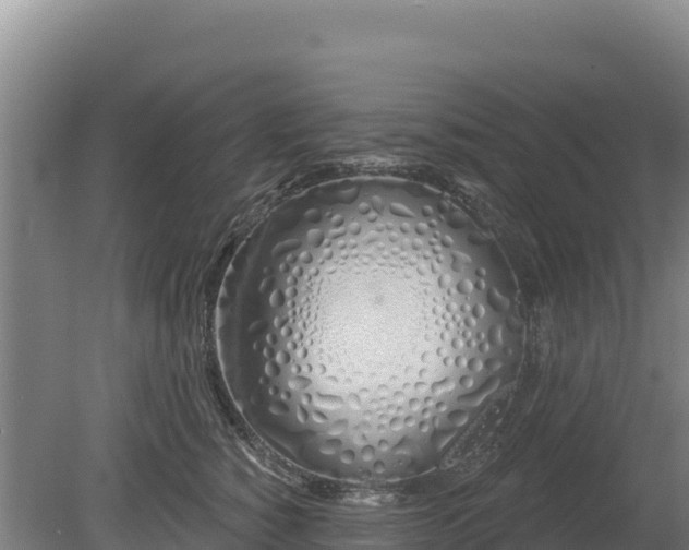 X0000080130760200612151738