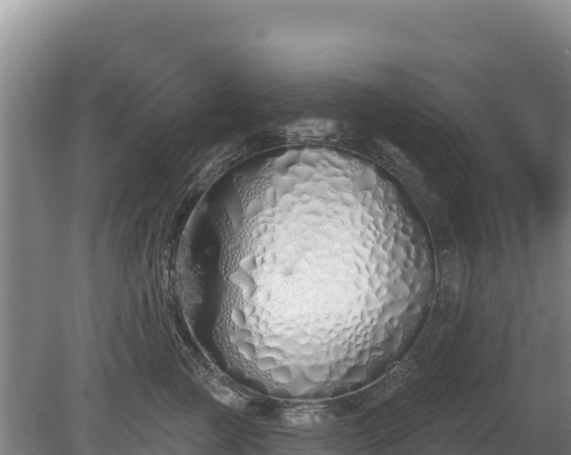 X0000080130761200612151738