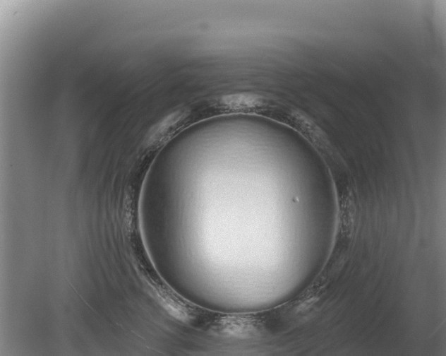 X0000080130762200612151738