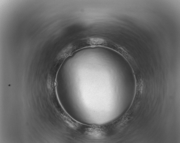 X0000080130763200612151738