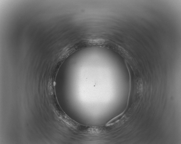 X0000080130764200612151738