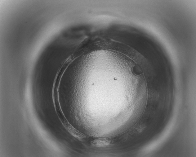 X0000080130765200612151738