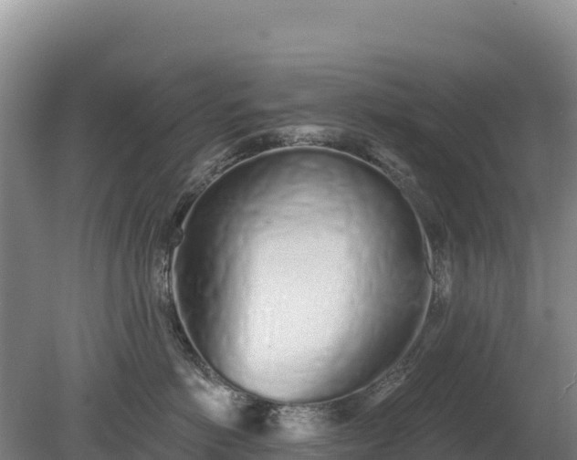 X0000080130766200612151738