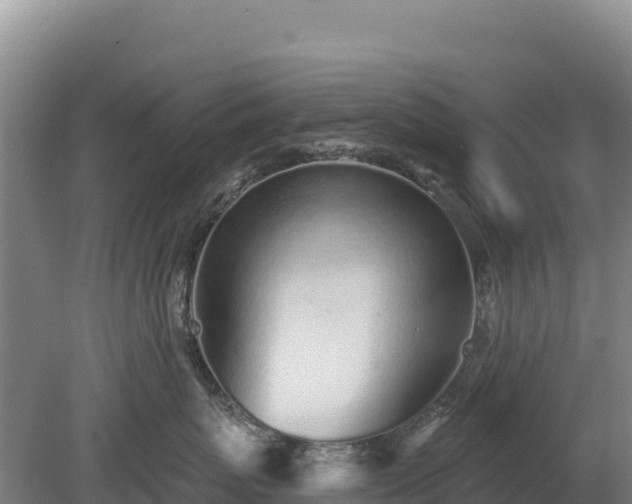 X0000080130767200612151738