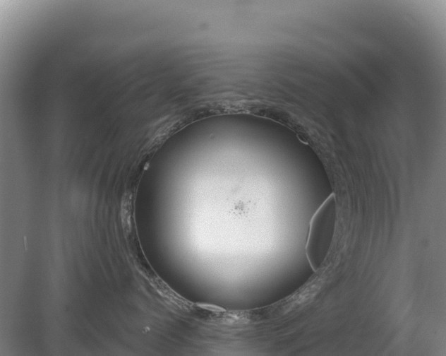 X0000080130768200612151738