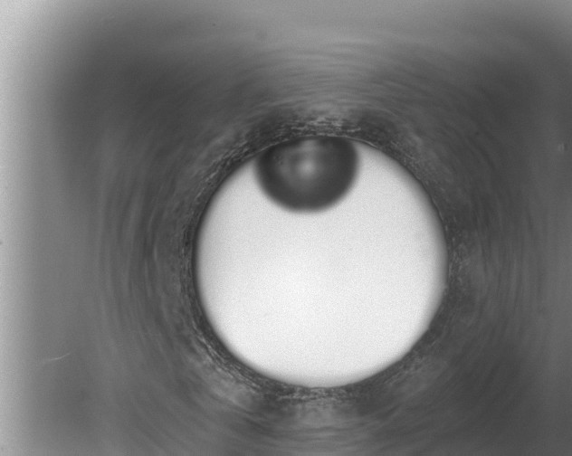 X0000080130769200612151737