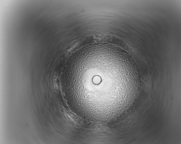 X0000080130770200612151737