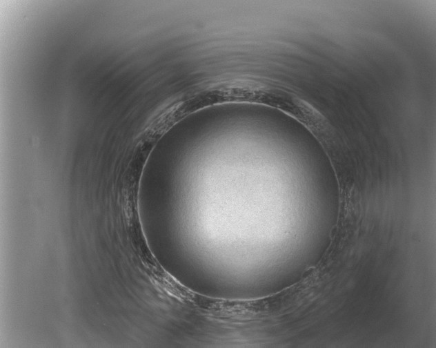 X0000080130774200612151737