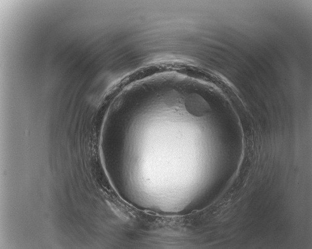 X0000080130775200612151737