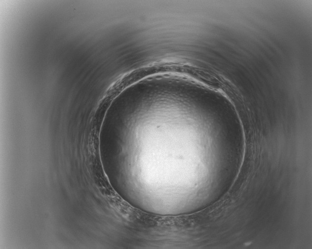 X0000080130776200612151737