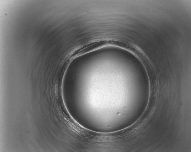 X0000080130777200612151737