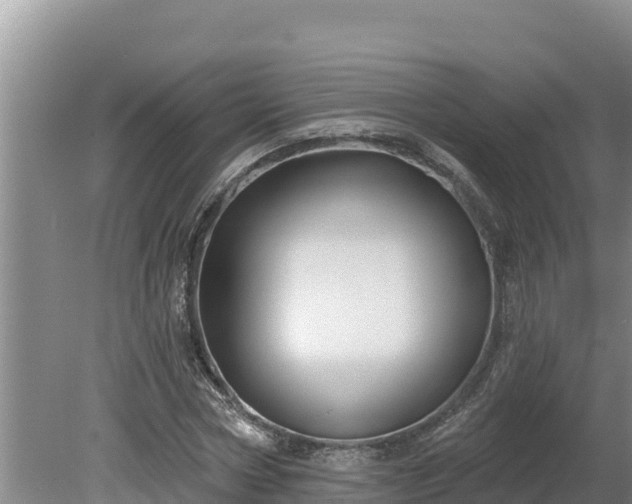 X0000080130778200612151737