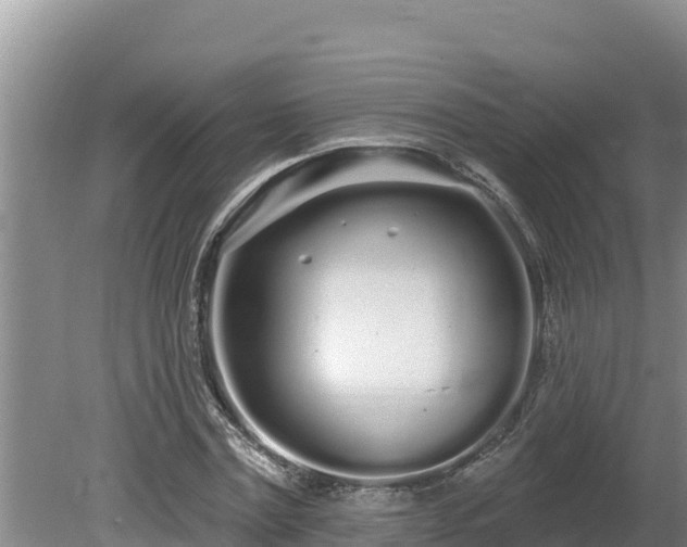 X0000080130779200612151737