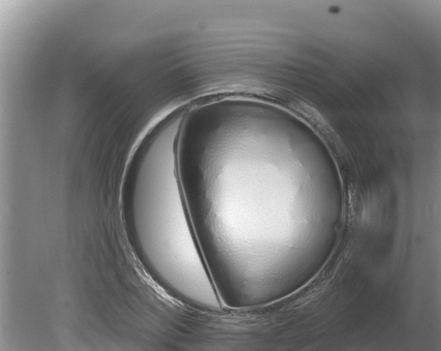 X0000080130780200612151737