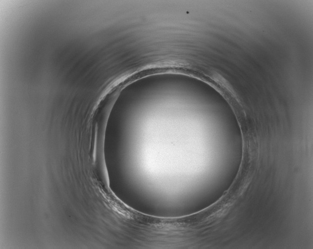 X0000080130781200612151737