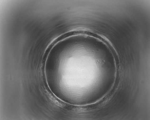 X0000080130783200612151737