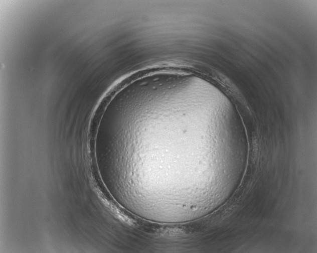 X0000080130784200612151737