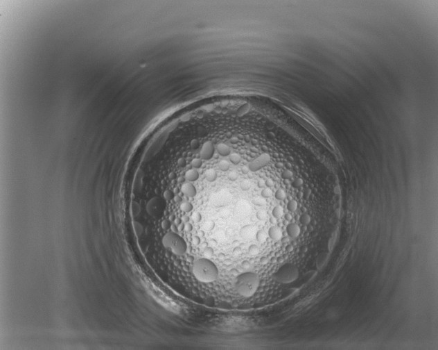 X0000080130787200612151737