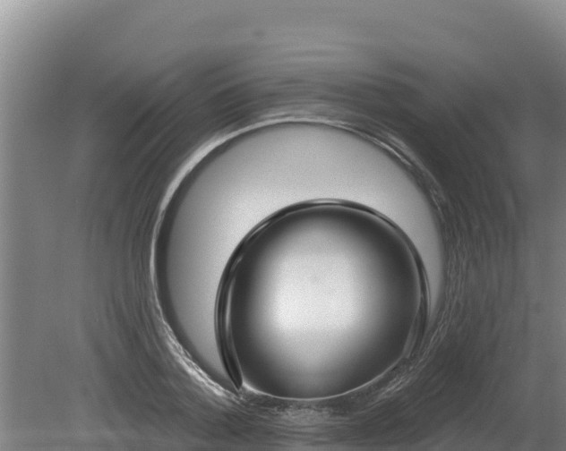 X0000080130788200612151737