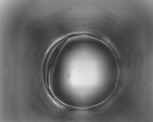 X0000080130789200612151737