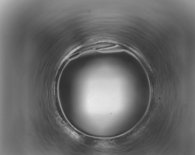 X0000080130790200612151737