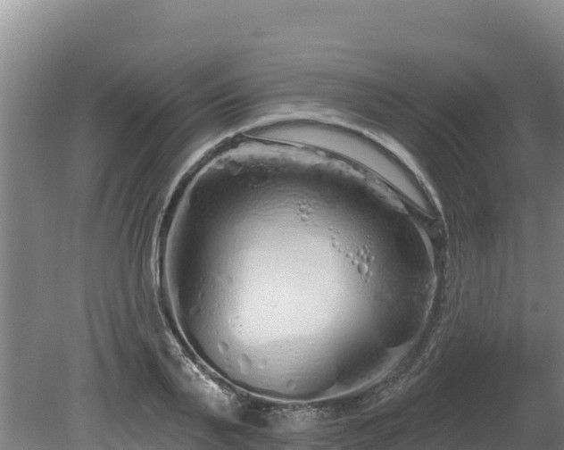 X0000080130791200612151737