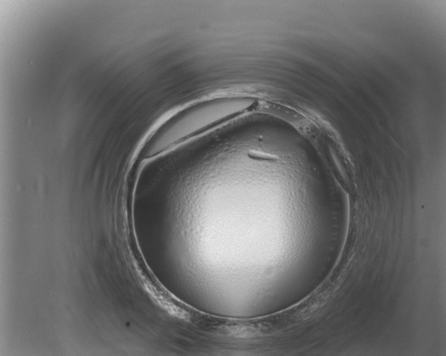 X0000080130792200612151737