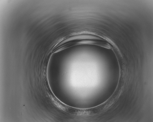 X0000080130793200612151737