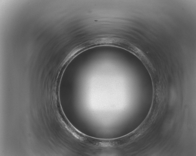 X0000080130794200612151737