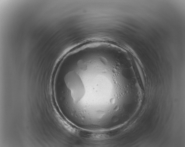 X0000080130795200612151737