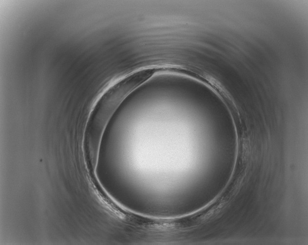 X0000080130797200612151737