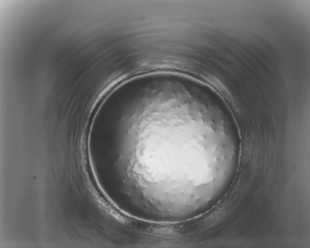 X0000080130798200612151737