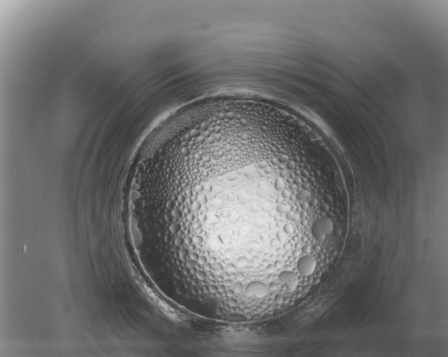 X0000080130799200612151737