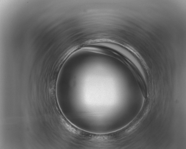 X0000080130801200612151737