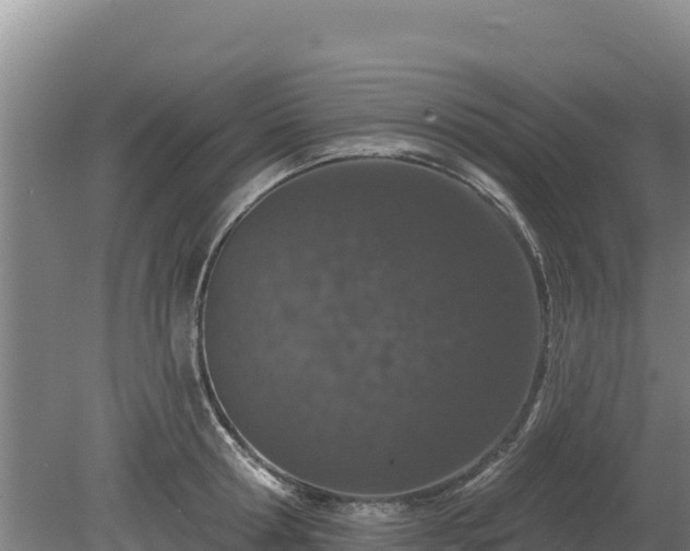 X0000080130802200612151737