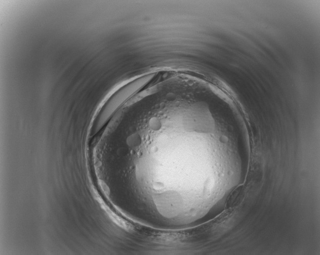 X0000080130803200612151737