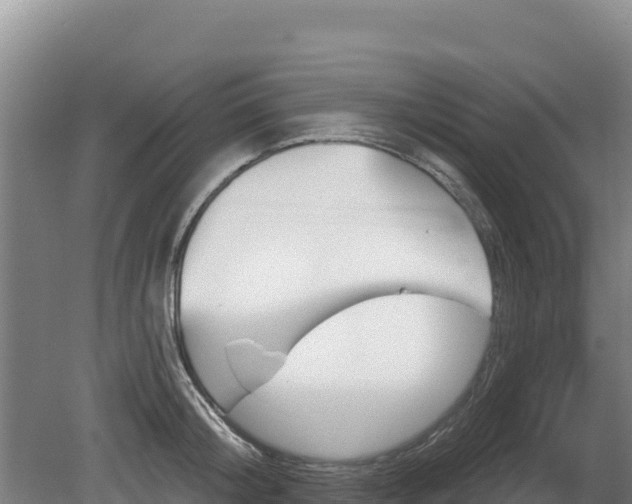 X0000080130804200612151737