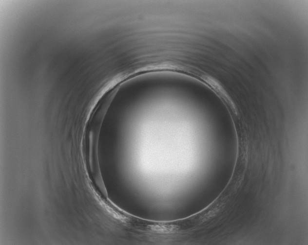 X0000080130805200612151737