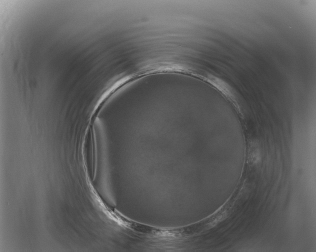 X0000080130806200612151737