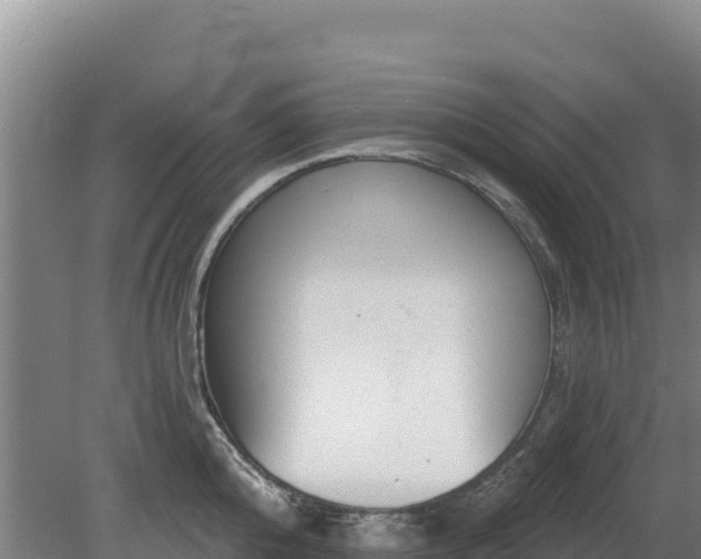 X0000080130808200612151737