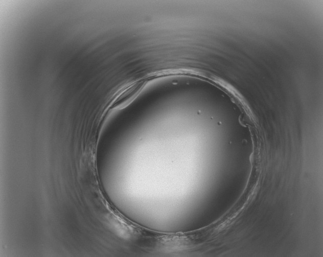 X0000080130809200612151737