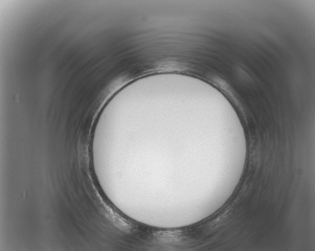 X0000080130810200612151737